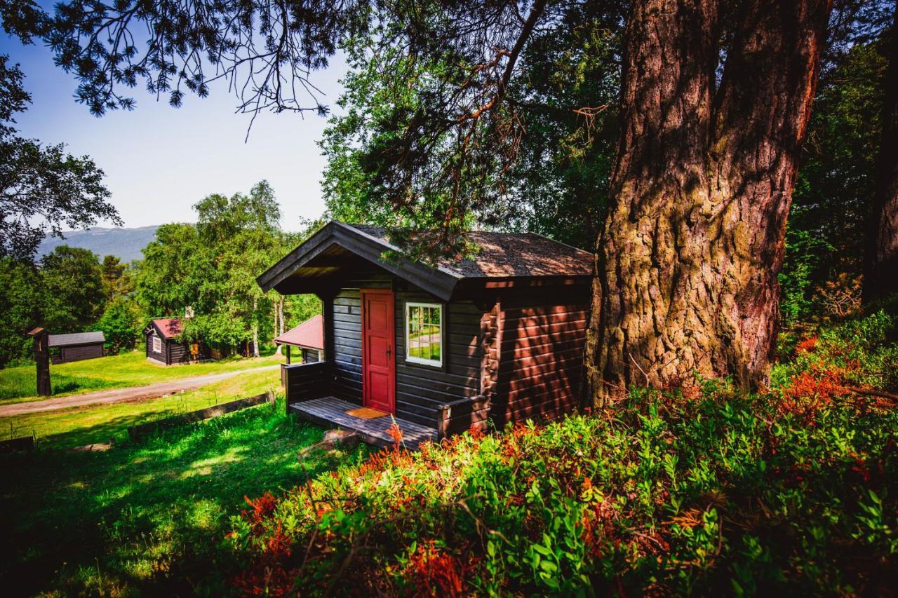 Ljoshaugen Camping Dombås Екстериор снимка