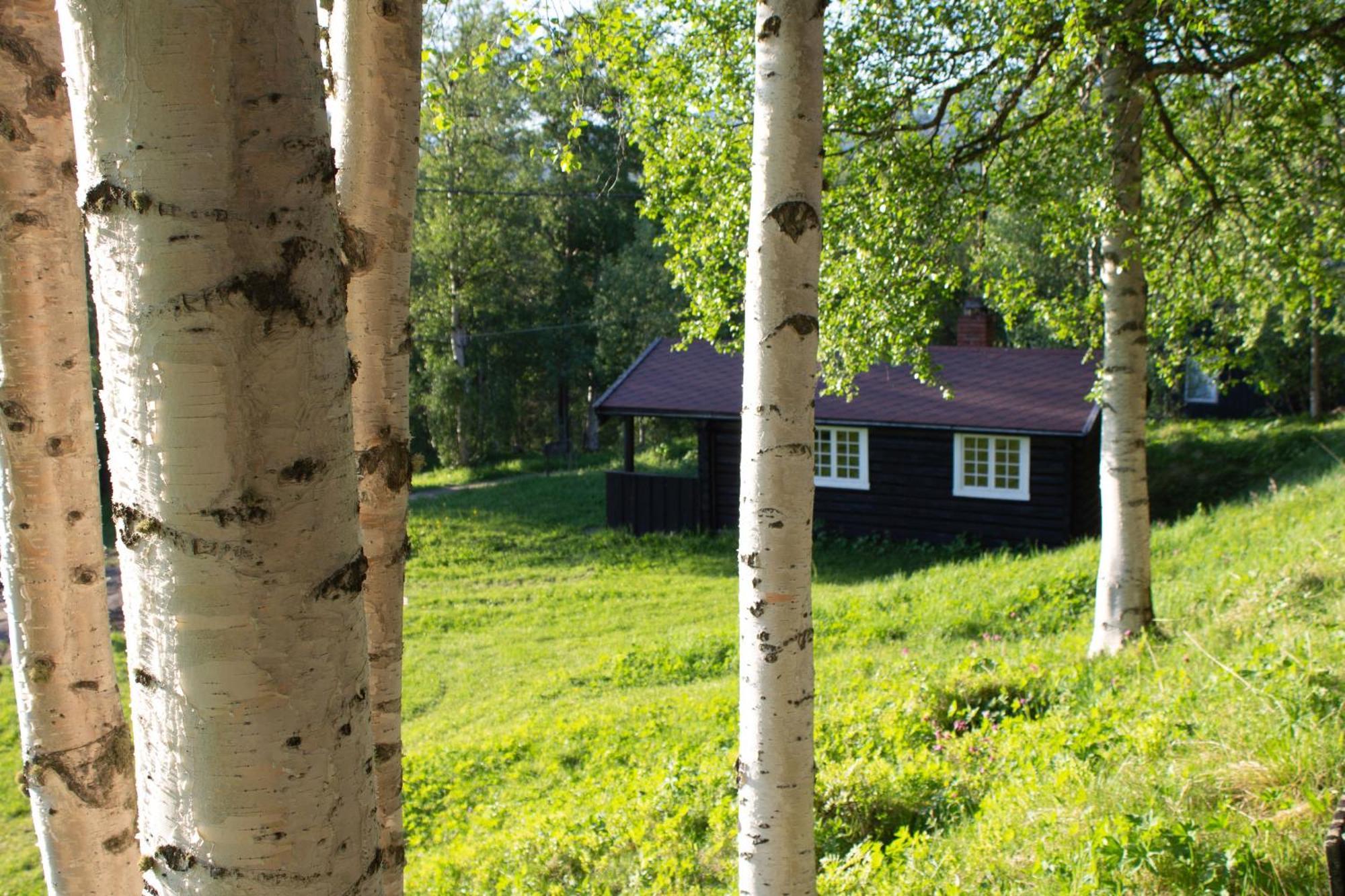 Ljoshaugen Camping Dombås Екстериор снимка